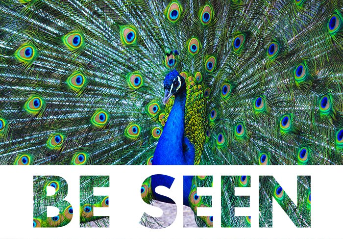 Peacock mascot