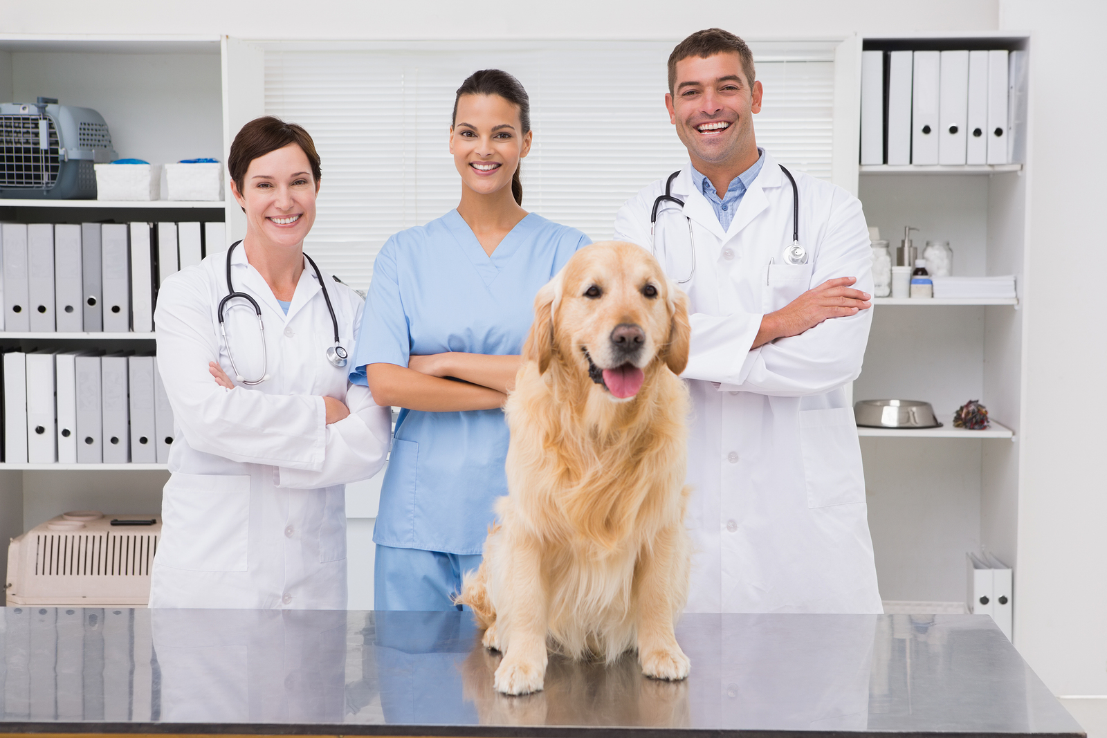 Pet Services